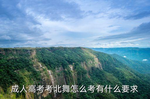 成人高考考北舞怎么考有什么要求