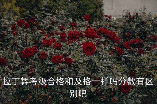 拉丁舞考级合格和及格一样吗分数有区别吧