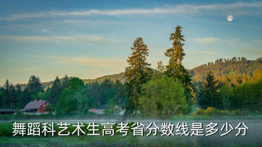 舞蹈科艺术生高考省分数线是多少分