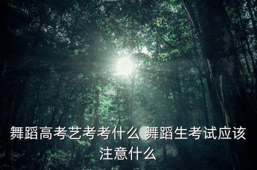 舞蹈艺考生考试内容体操视频，舞蹈高考艺考考什么 舞蹈生考试应该注意什么