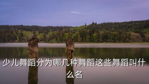 少儿舞蹈分为哪几种舞蹈这些舞蹈叫什么名