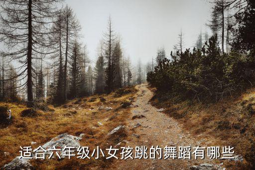适合六年级小女孩跳的舞蹈有哪些