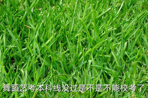 舞蹈艺考本科线没过是不是不能校考了