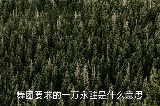 舞团要求的一万永驻是什么意思