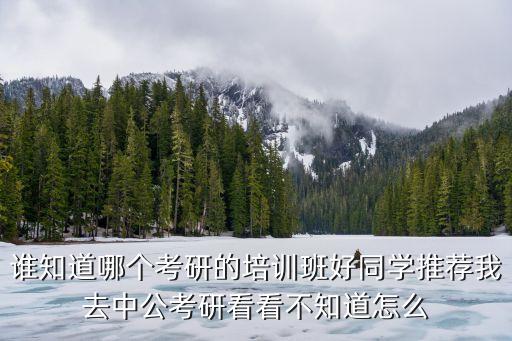 武汉中公考研培训机构，问问有知道中公考研的没不知道这家到底怎样所以想来问问