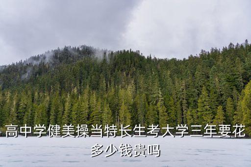 高中学健美操当特长生考大学三年要花多少钱贵吗