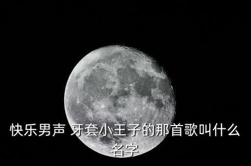 小王子一套舞曲歌名叫什么名字，快乐男声 牙套小王子的那首歌叫什么名字