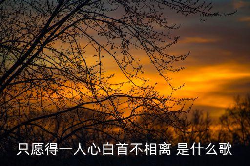 只愿得一人心白首不相离 是什么歌