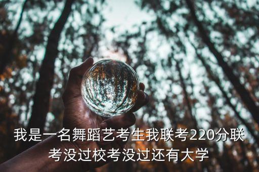 舞蹈艺考220分能上什么学校，2019届江西舞蹈艺考两百多名可以考什么学校