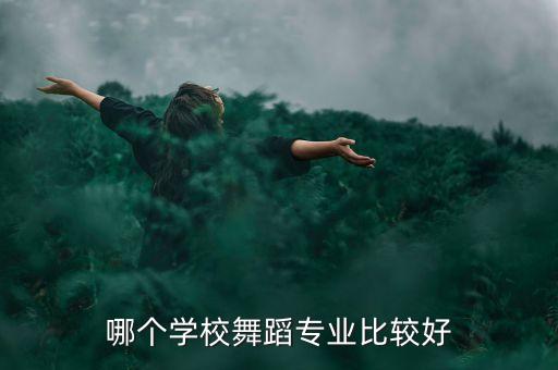 孩子学舞蹈考什么学校，学舞蹈考什么大学