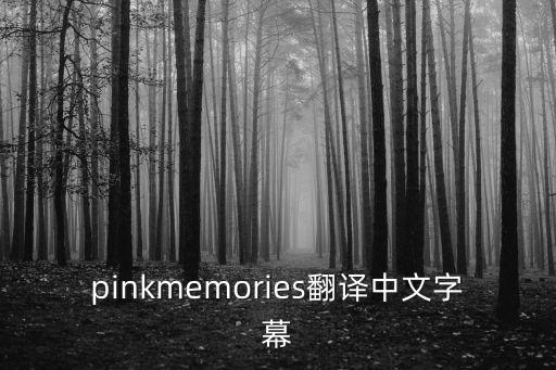 pinkmemories翻译中文字幕
