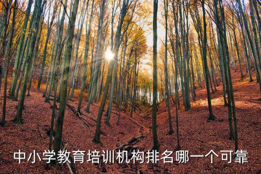 中小学教育培训机构排名哪一个可靠
