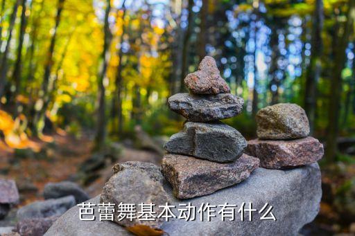 芭蕾舞十二个基本动作介绍图片，芭蕾舞基本动作有什么