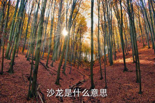 沙龙舞什么意思，文艺沙龙是什么意思
