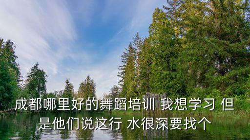成都哪里好的舞蹈培训 我想学习 但是他们说这行 水很深要找个