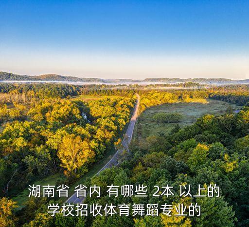 湖南省有舞蹈专业的大学，湖南有哪些大学有舞蹈系