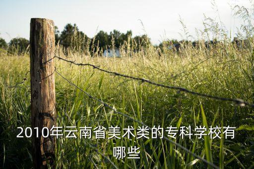 2010年云南省美术类的专科学校有哪些