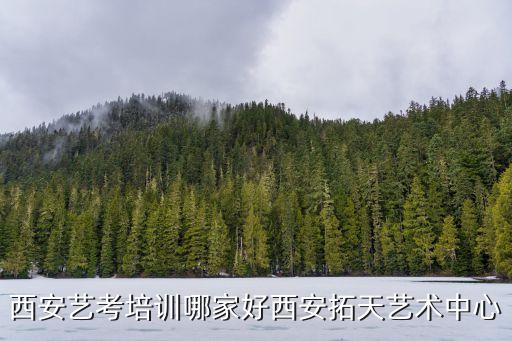 西安艺考培训哪家好西安拓天艺术中心