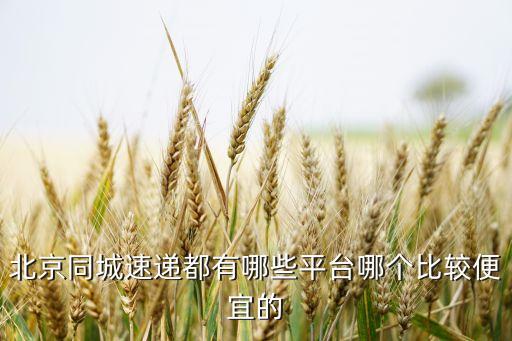 北京同城速递都有哪些平台哪个比较便宜的
