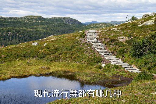 现代流行舞都有哪几种