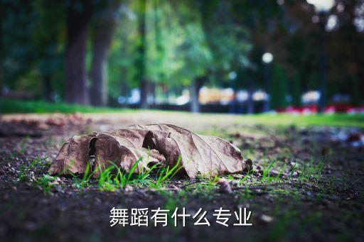 舞蹈有什么专业