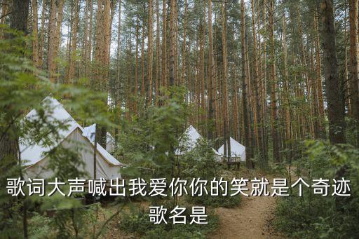歌词大声喊出我爱你你的笑就是个奇迹歌名是