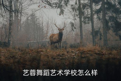 如何夸奖舞蹈艺术学校，艺蓉舞蹈艺术学校怎么样
