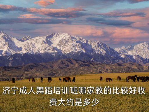 济宁成人舞蹈培训班哪家教的比较好收费大约是多少