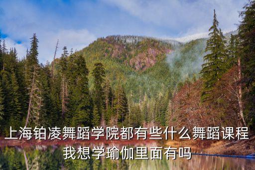 舞蹈学院每天都学什么，北京舞蹈学院本科生上课都是上些什么