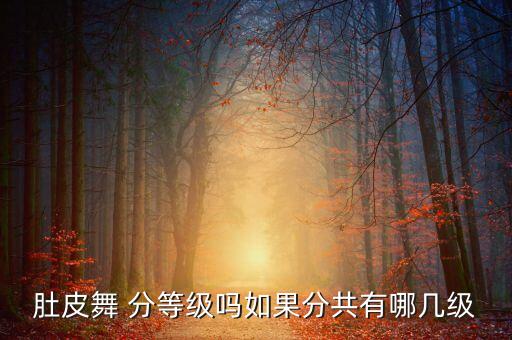 肚皮舞怎么考级，肚 皮 舞 有 没 分 等 级