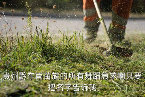 贵州黔东南苗族的所有舞蹈急求啊只要把名字告诉我