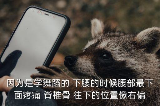 因为是学舞蹈的 下腰的时候腰部最下面疼痛 脊椎骨 往下的位置像右偏