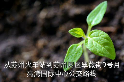 苏州盛泽离苏州月亮弯有多少公里，苏州火车站到月亮湾国际中心怎么走