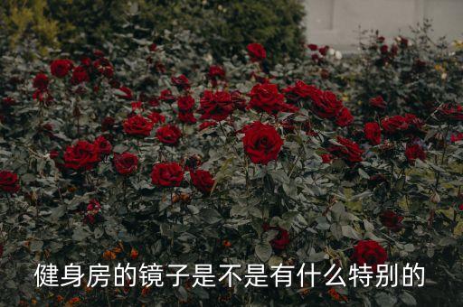 健身房的镜子是不是有什么特别的