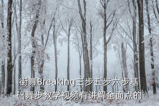 街舞Breaking三步五步六步基础舞步教学视频有讲解全面点的