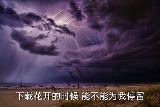 下载花开的时候 能不能为我停留