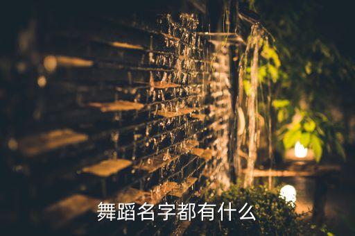 有哪些舞蹈名字叫什么名字，世界上有哪些舞比较有名