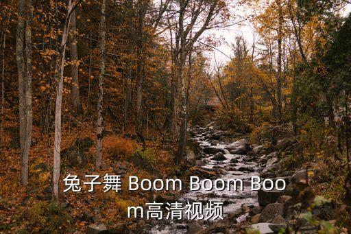 兔子舞 Boom Boom Boom高清视频