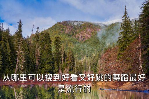从哪里可以搜到好看又好跳的舞蹈最好是流行的