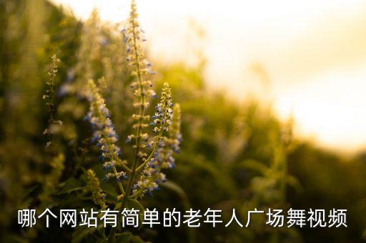 大妈广场舞视频播放，大妈不要命了高速公路上跳广场舞网友谁与争锋