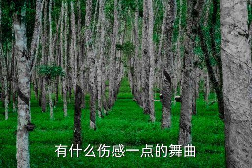 有什么伤感一点的舞曲