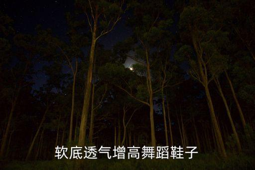 软底透气增高舞蹈鞋子