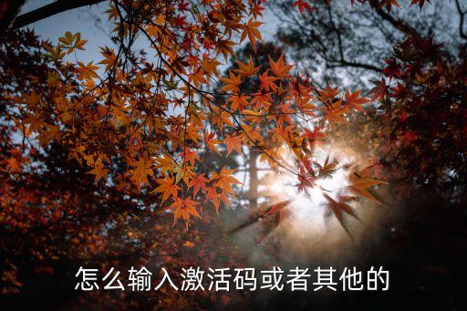 怎么输入激活码或者其他的
