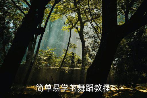 零基础的舞蹈视频教程，求简单又好看的舞蹈教程