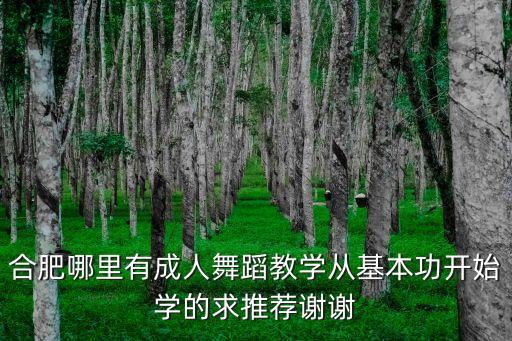 合肥成人舞蹈学校，合肥成人舞蹈学习班可有