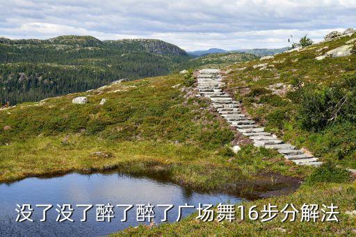 没了没了醉了醉了广场舞16步分解法