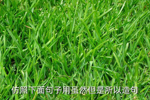 摩登舞比赛舞裙新款高档，滁州 哪有定做卖高档舞蹈服装拉丁舞摩登舞那种高档的品质一定
