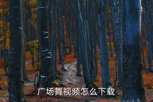 广场舞视频怎么下载