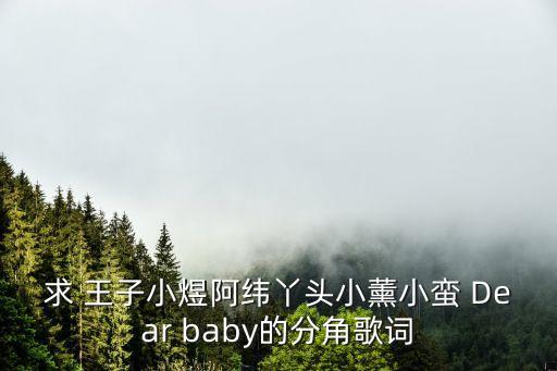 求 王子小煜阿纬丫头小薰小蛮 Dear baby的分角歌词