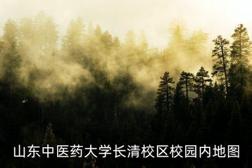 形体舞红枣树背面完整版教学，山东中医药大学长清校区校园内地图
